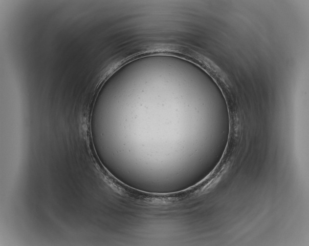 X0000112360985200908271250