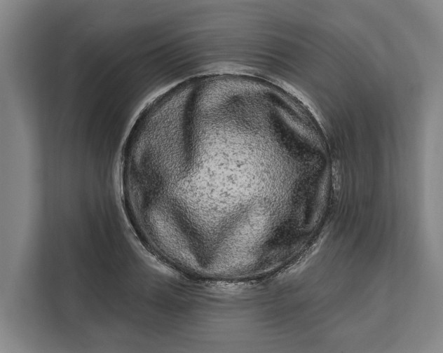 X0000112360987200908271250