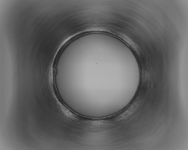 X0000112360988200908271250