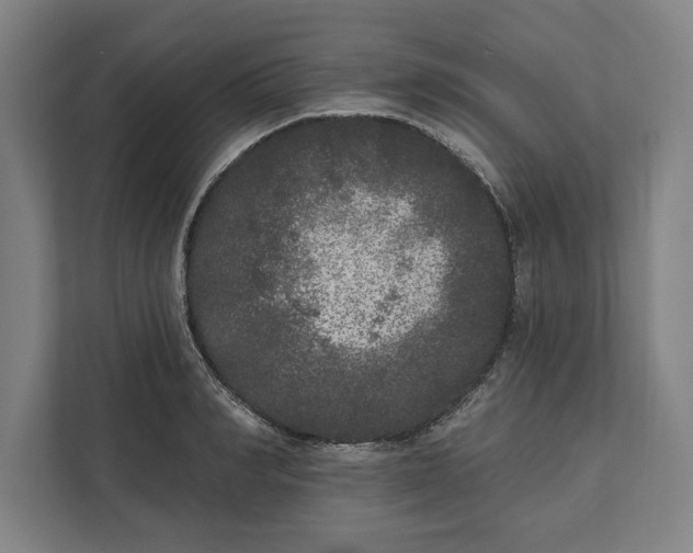 X0000112360990200908271249