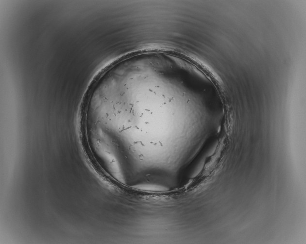 X0000112360991200908271249