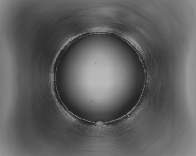 X0000112360992200908271249