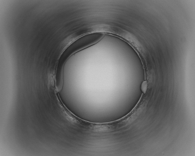 X0000112360993200908271249