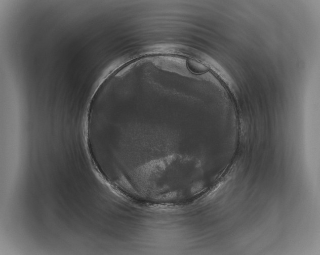 X0000112360994200908271249