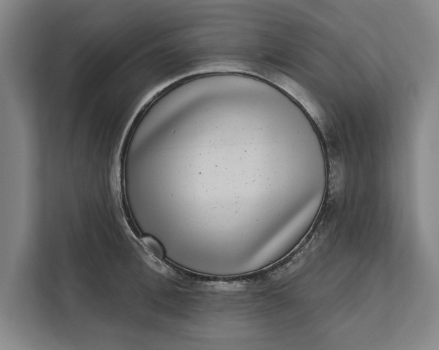 X0000112360996200908271249