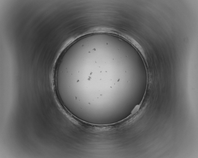 X0000112360997200908271249