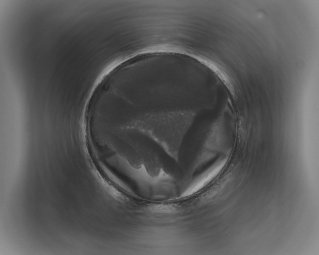 X0000112360998200908271249