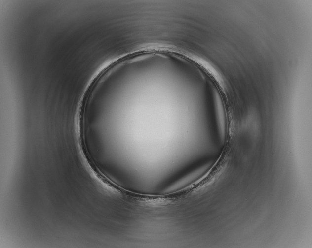 X0000112360999200908271249