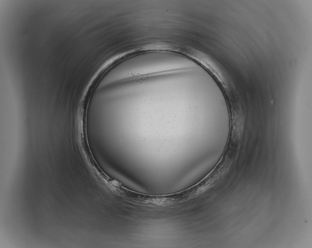 X0000112361000200908271249