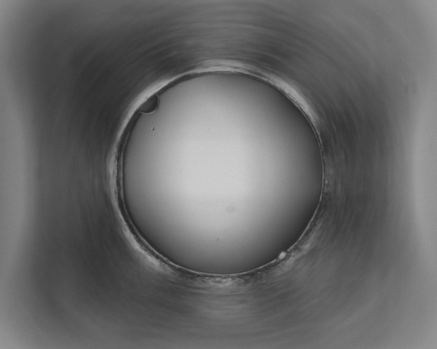 X0000112361003200908271249