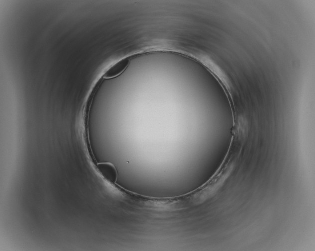 X0000112361005200908271249