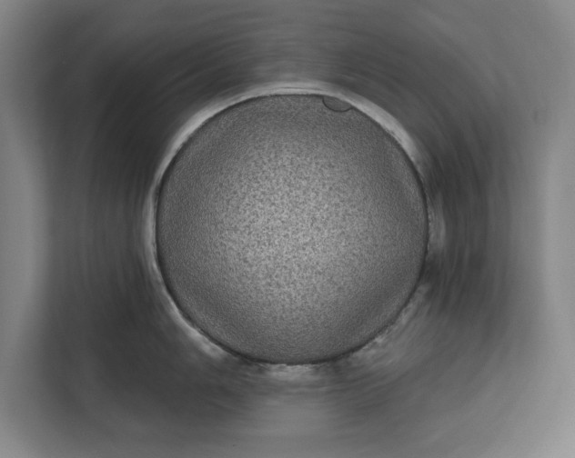 X0000112361006200908271249