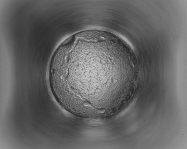 X0000112361007200908271249