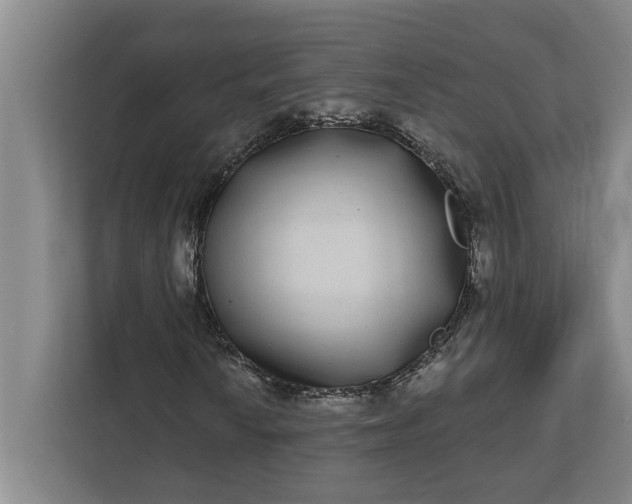 X0000112361010200908271249