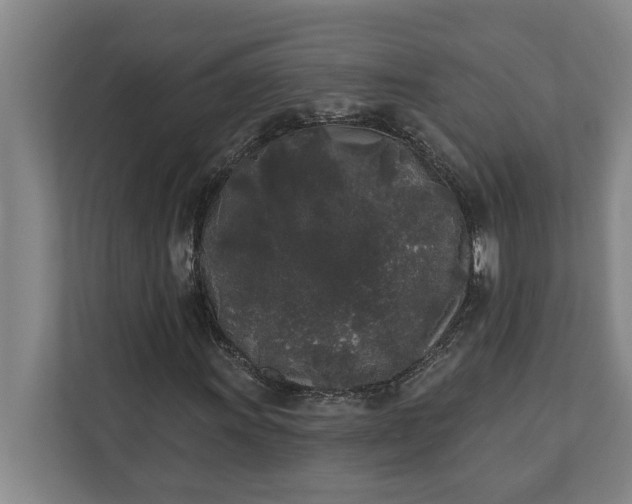 X0000112361011200908271249