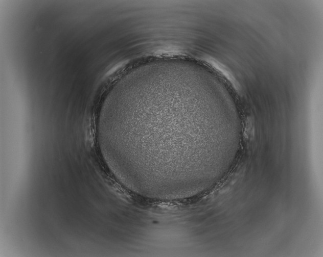 X0000112361015200908271249