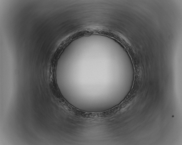 X0000112361016200908271249