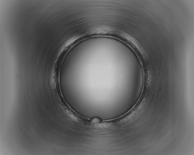 X0000112361018200908271249