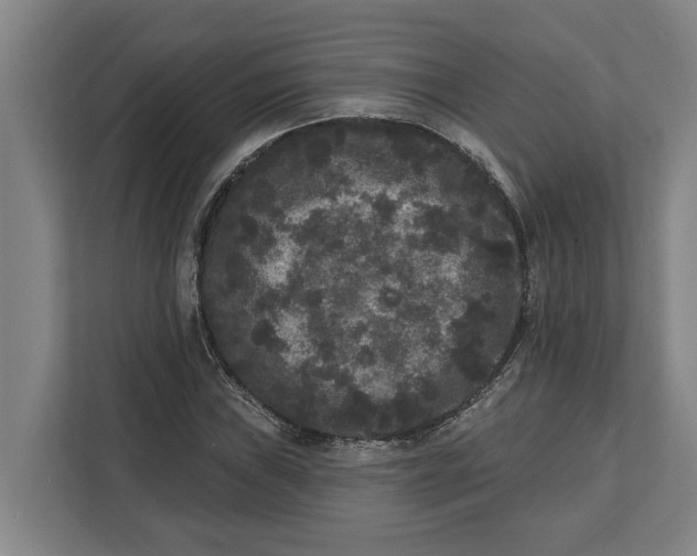 X0000112361019200908271249