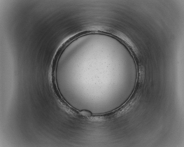 X0000112361020200908271249