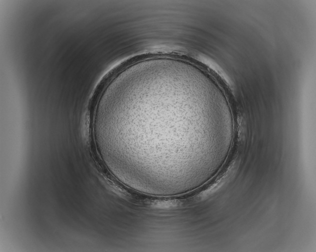 X0000112361021200908271249