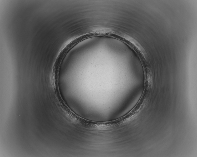 X0000112361022200908271249