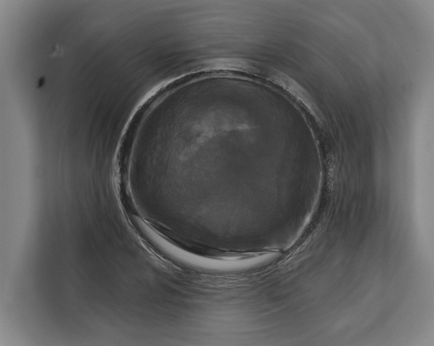 X0000112361024200908271249