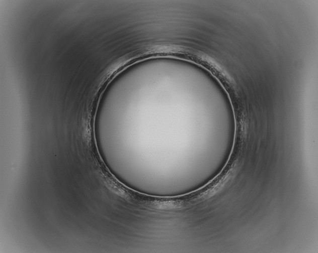 X0000112361025200908271249