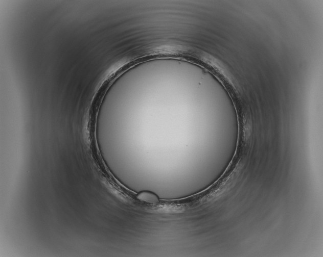 X0000112361026200908271249