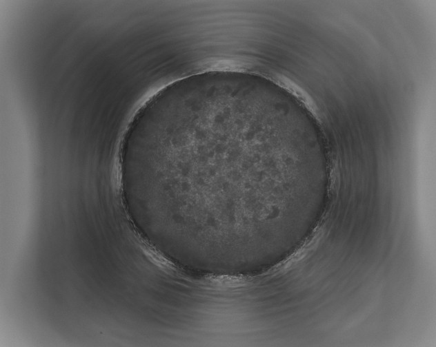 X0000112361027200908271249