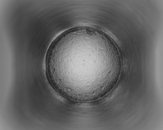 X0000112361028200908271249