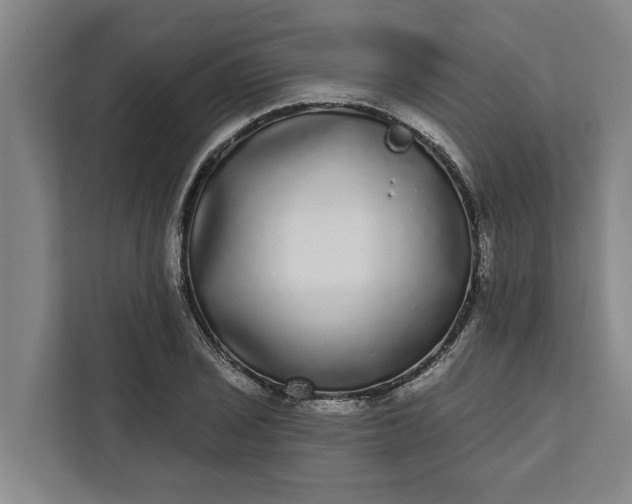 X0000112361029200908271249