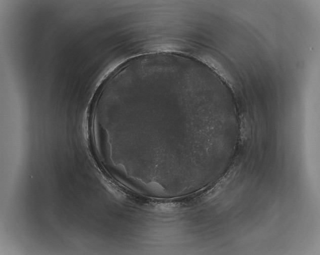 X0000112361031200908271249