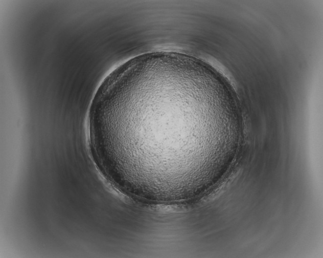 X0000112361032200908271249