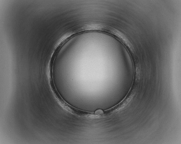 X0000112361034200908271249