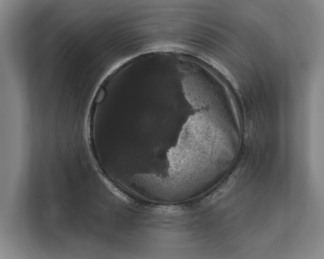 X0000112361037200908271249