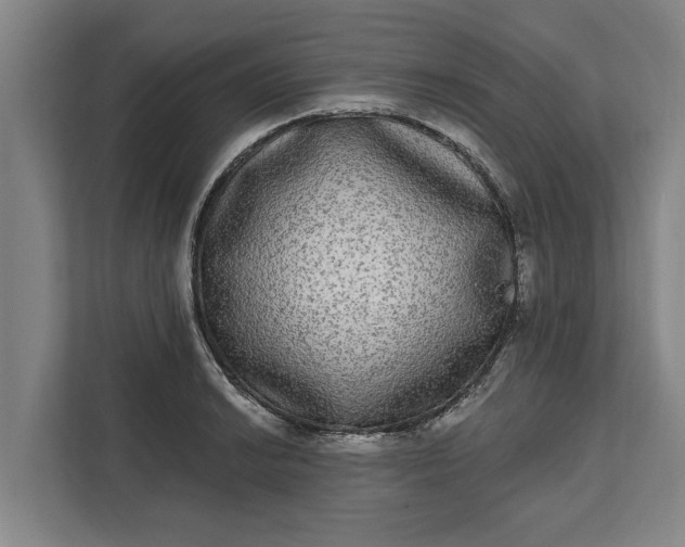 X0000112361038200908271249