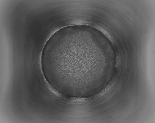 X0000112361039200908271249