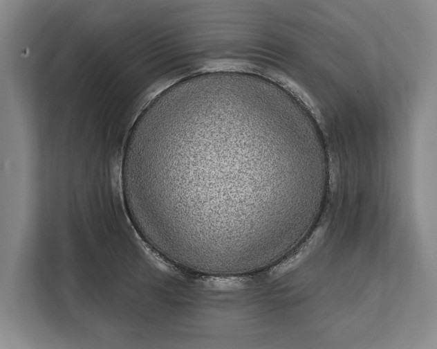 X0000112361041200908271249