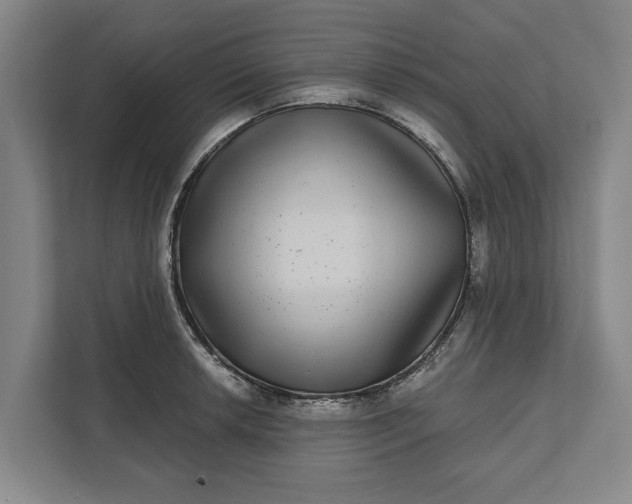 X0000112361042200908271249