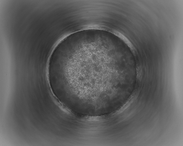 X0000112361043200908271249