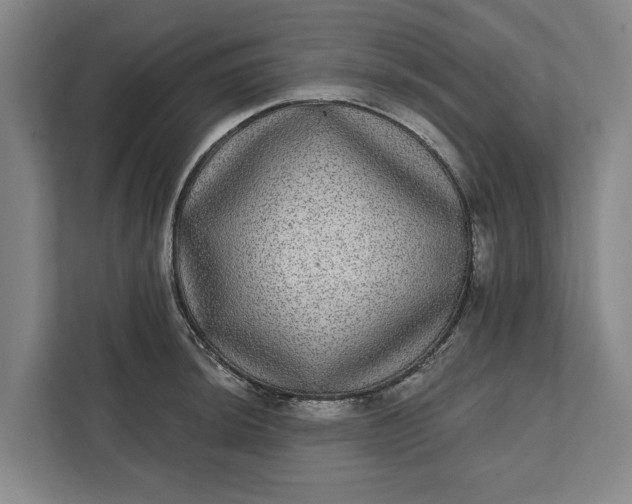 X0000112361044200908271249