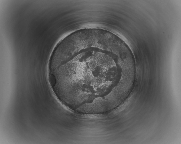 X0000112361045200908271249