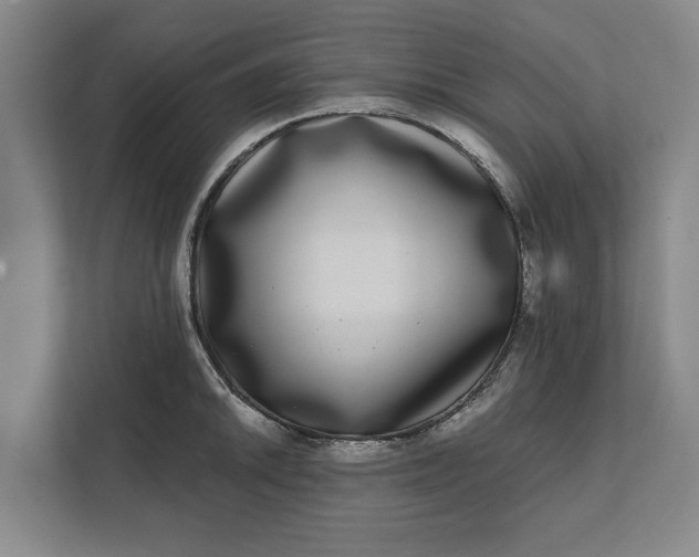 X0000112361046200908271249