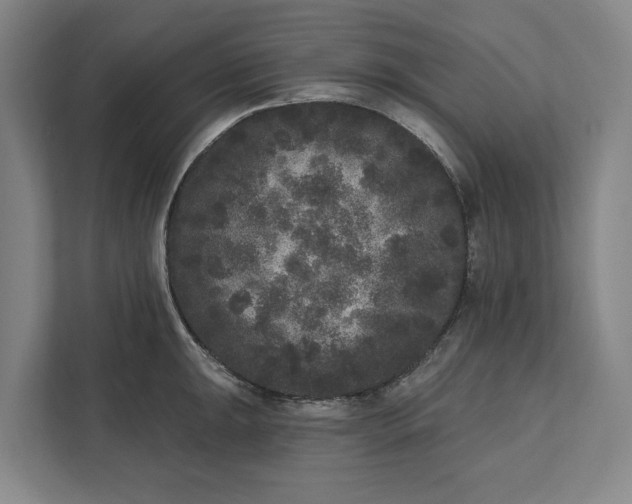 X0000112361047200908271249