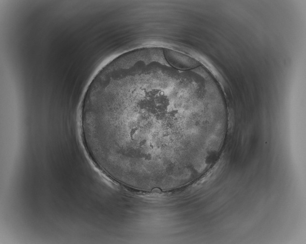 X0000112361048200908271249