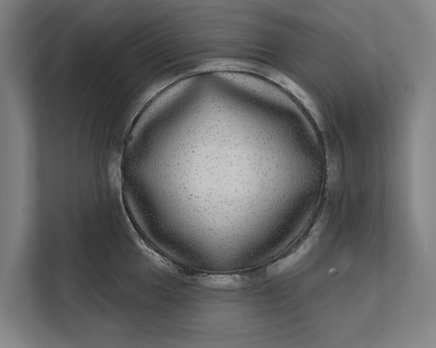 X0000112361049200908271249