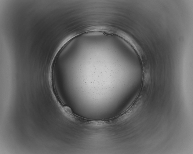 X0000112361050200908271249