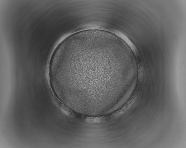 X0000112361051200908271249