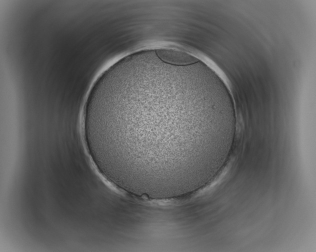 X0000112361053200908271249